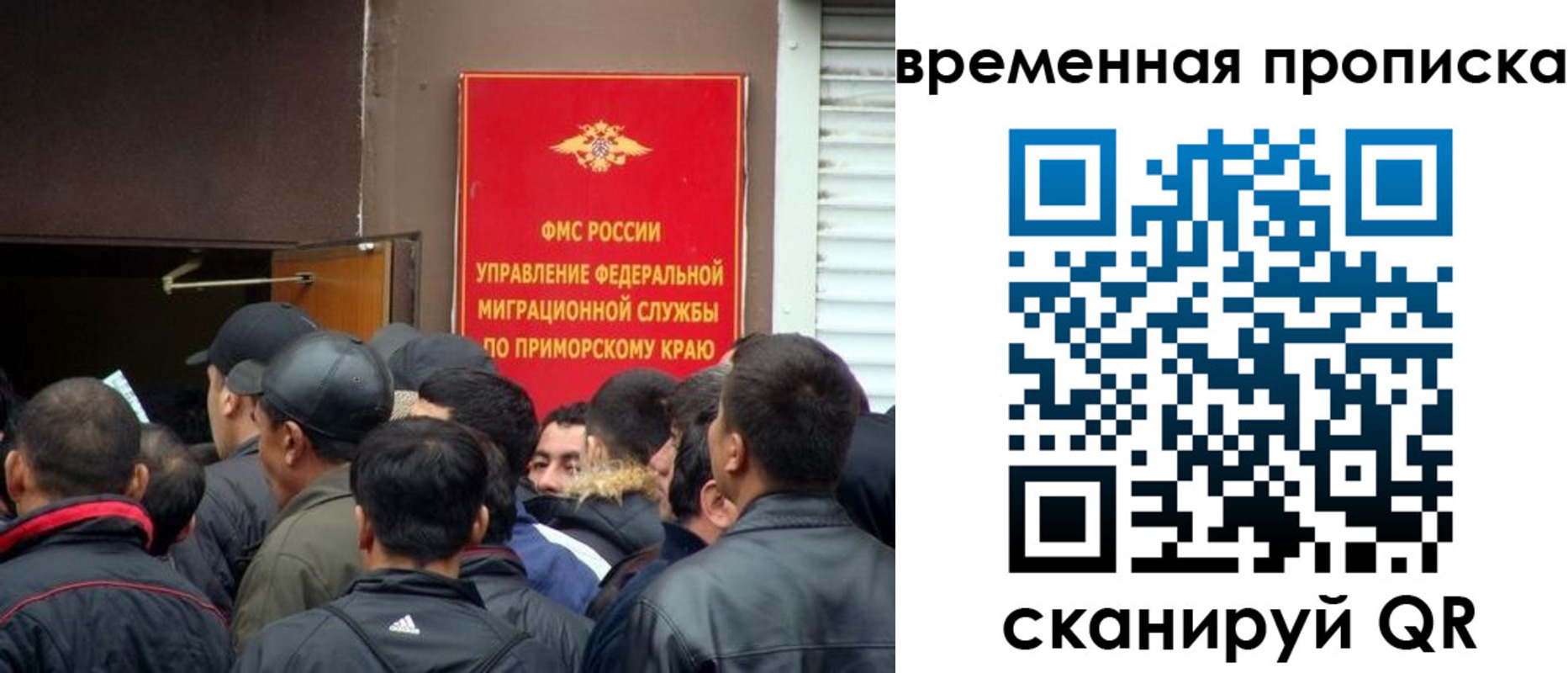 прописка в Димитровграде